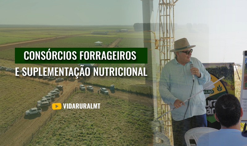 EMBRAPA PROMOVE WORKSHOP SOBRE INTEGRAÇÃO LAVOURA E PECUÁRIA